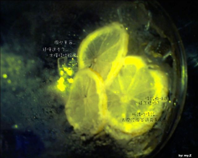 ˵