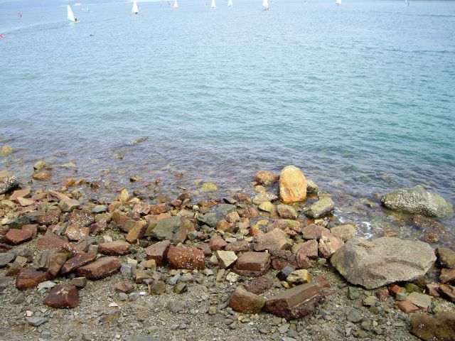 ˵