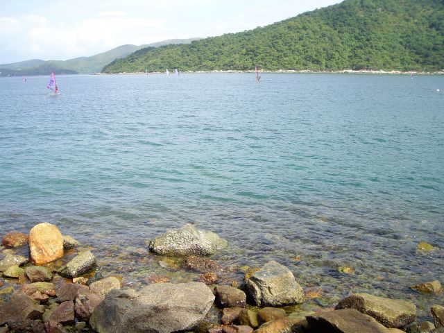 ˵