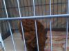 �ڳ̷R嘅mocha�J~